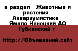  в раздел : Животные и растения » Аквариумистика . Ямало-Ненецкий АО,Губкинский г.